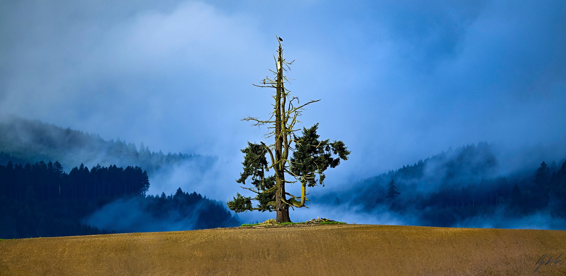 One Tree Hill product image (2)