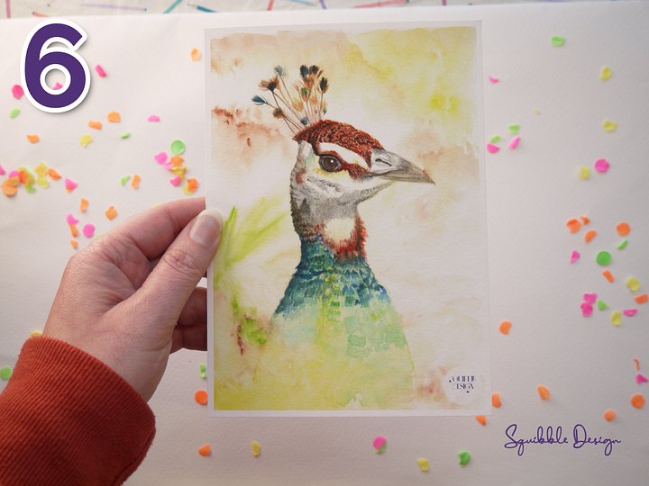 Supporter Print - Peacock product image (1)