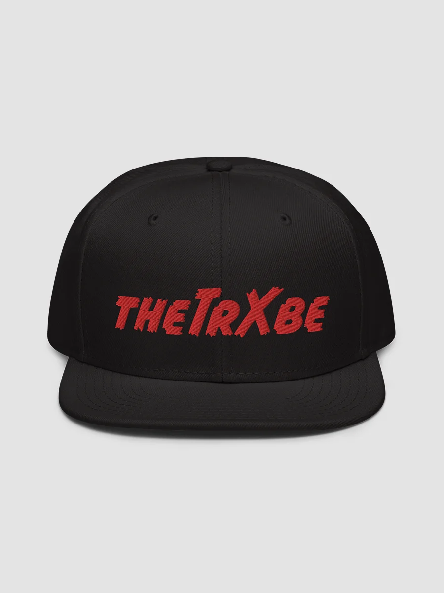 theTrXbe Snapback product image (2)