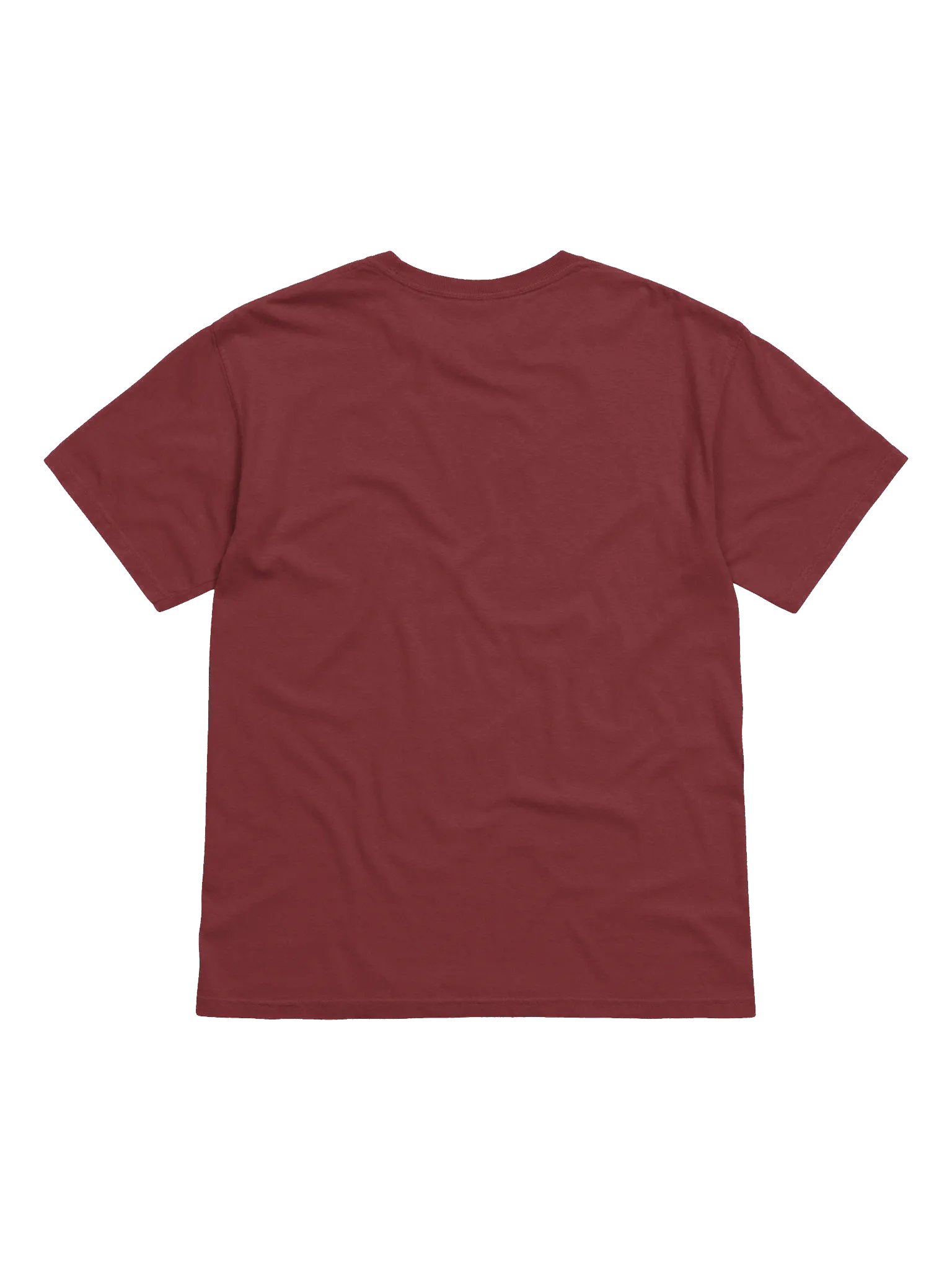 The Swarm - Embroidered Tee product image (4)