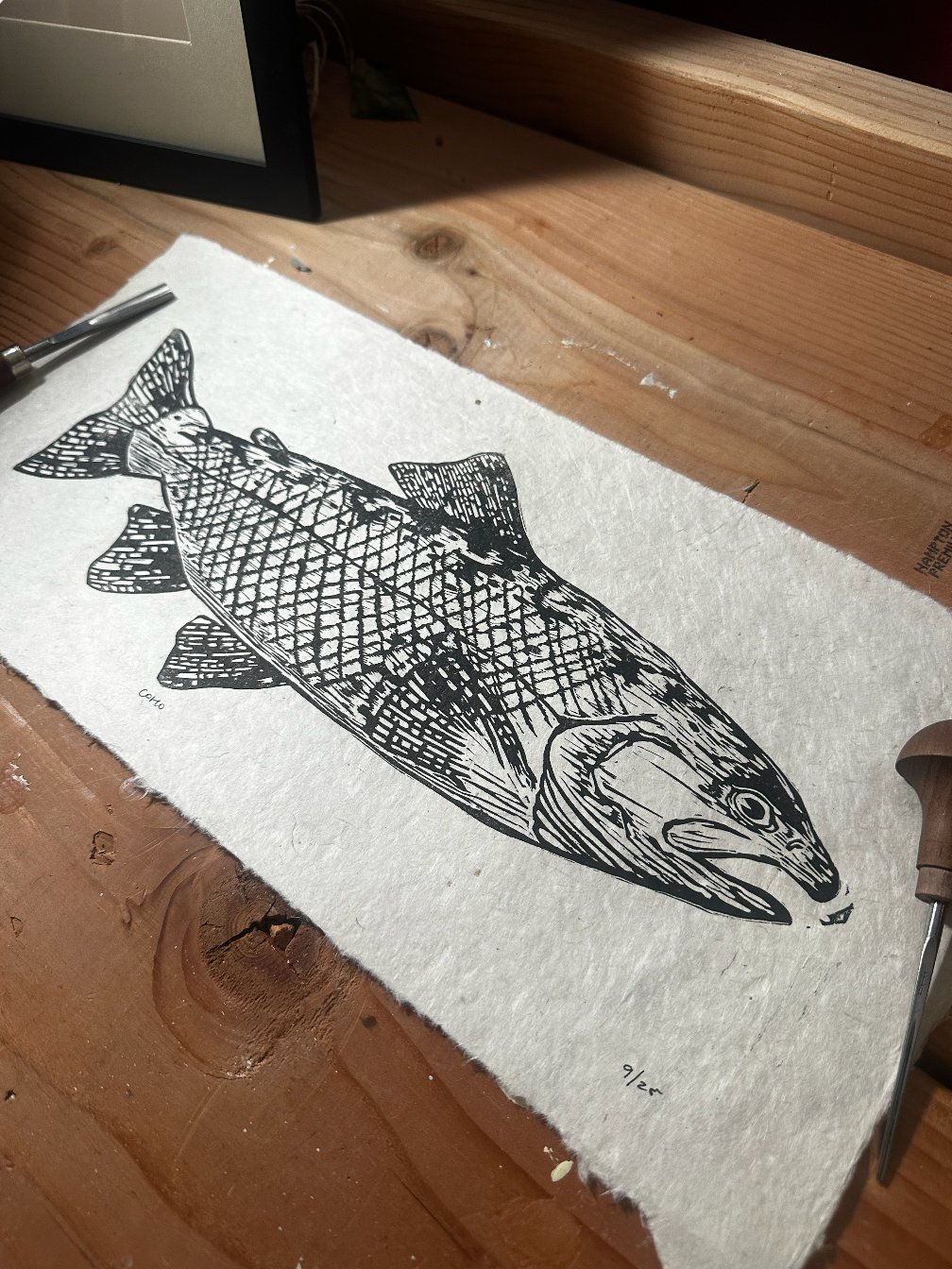 Coho product image (3)
