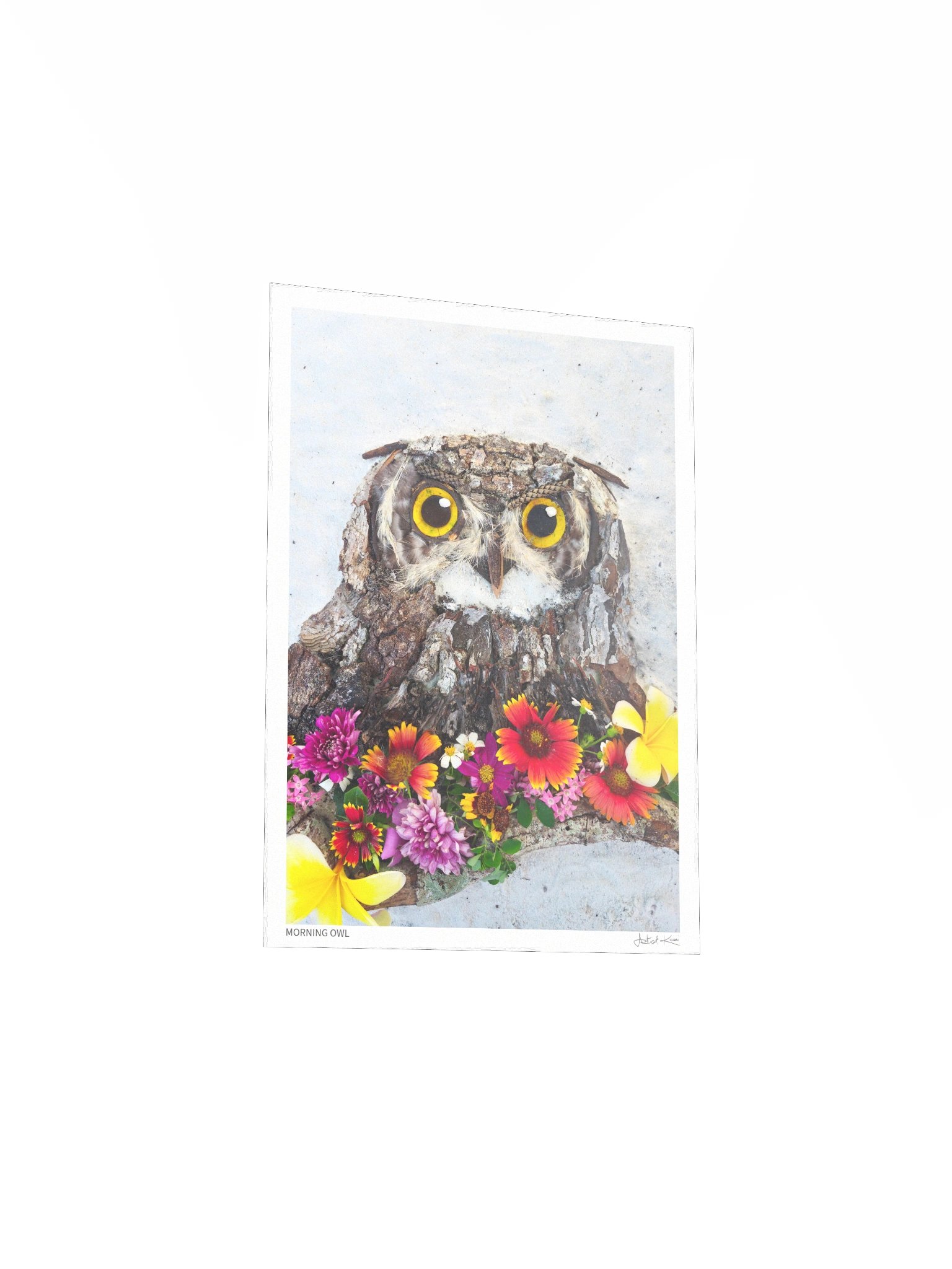 MORNING OWL | Fine Art Print product image (4)