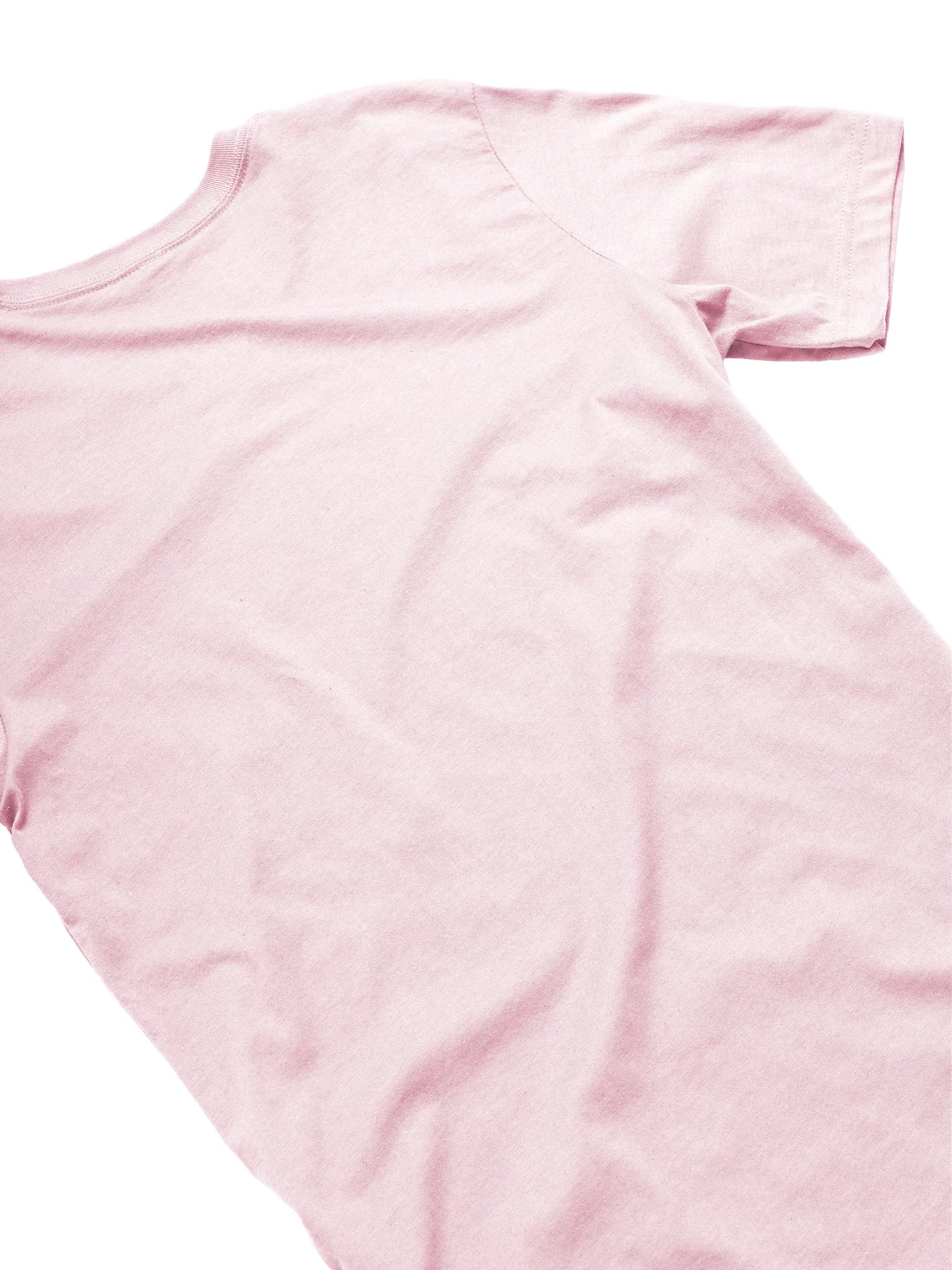 I'm the Whole Vibe T-Shirt product image (10)