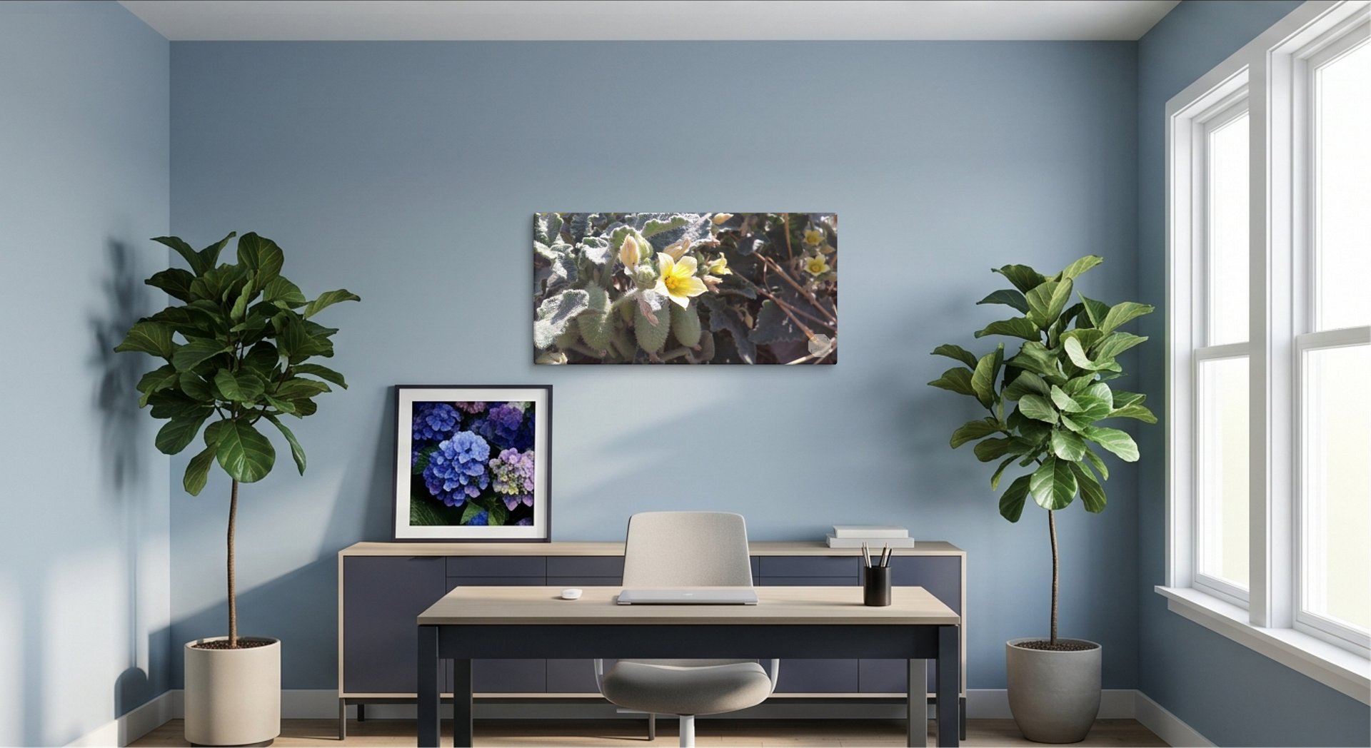 P. Dipsaceus - Canvas Fine Art product image (4)