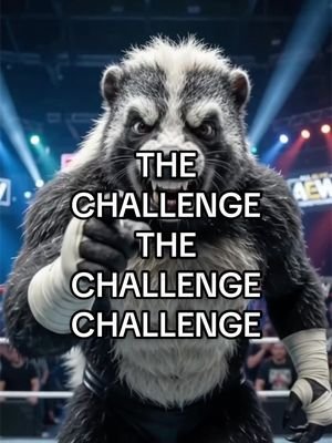 Challenge the Challenge Challenge #challengethechallengechallenge #hobbyhorse #creators #challenge #sarcasm