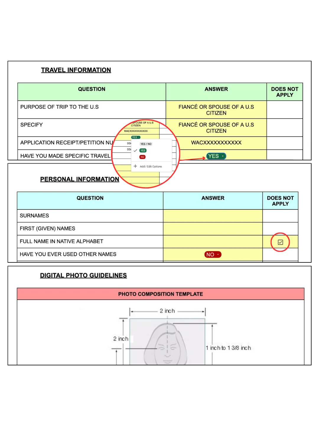 DS-160 Application Template product image (2)