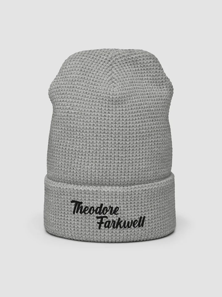 THEODORE FARKWELL BEANIE product image (2)