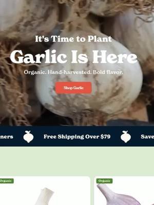 Garlic season is HERE 🧄 Order now, plant in fall, harvest next summer! Grab yours from Epic Gardening 💚 - https://www.epicgardening.com/POKKET?q=garlic #garlic #epicgardening #ad