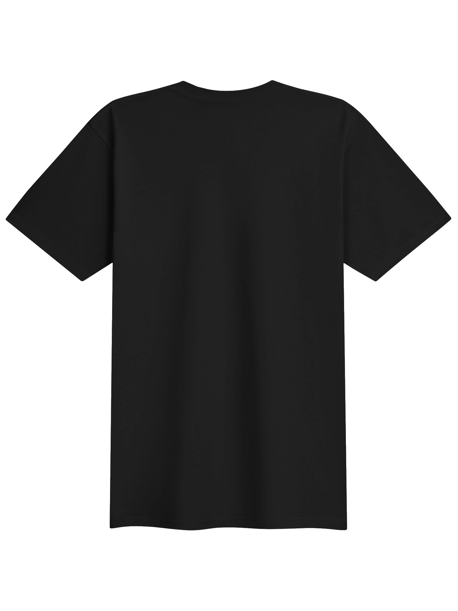 Rainbow Valknut Fundraiser Shirt product image (2)
