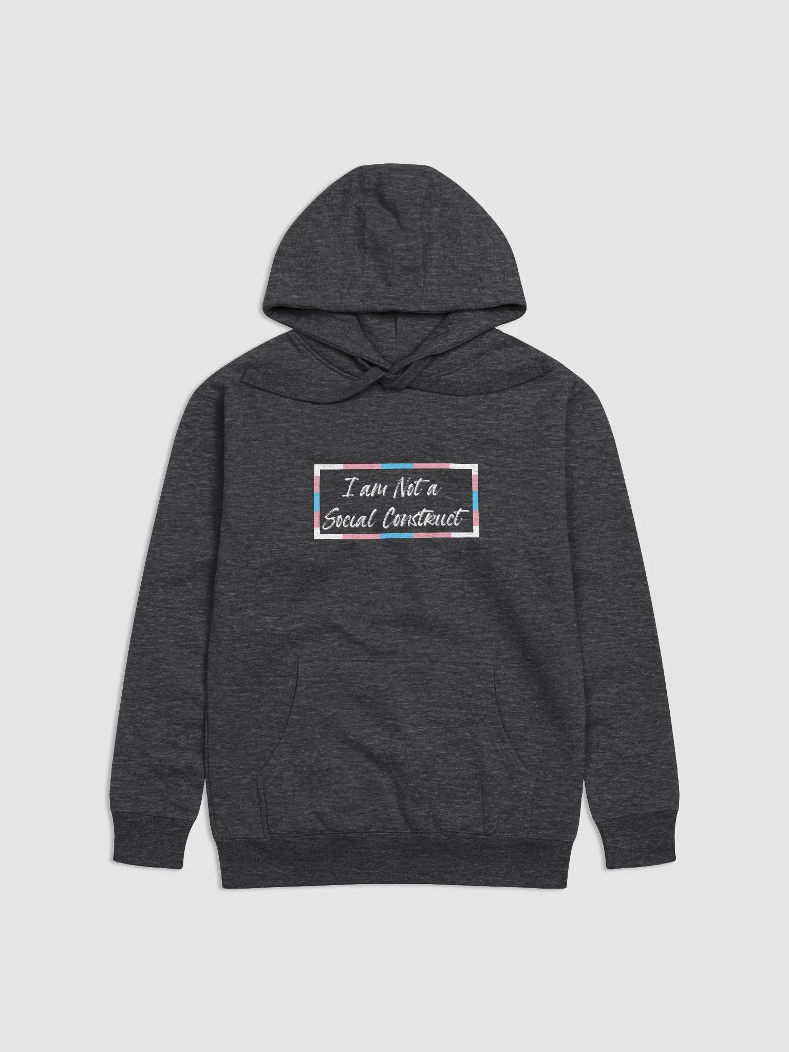 I am Not a Social Construct - Trans - Hoodie product image (1)