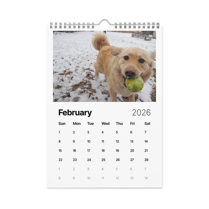 Milo's Life 2026 Wall Calendar product image (1)