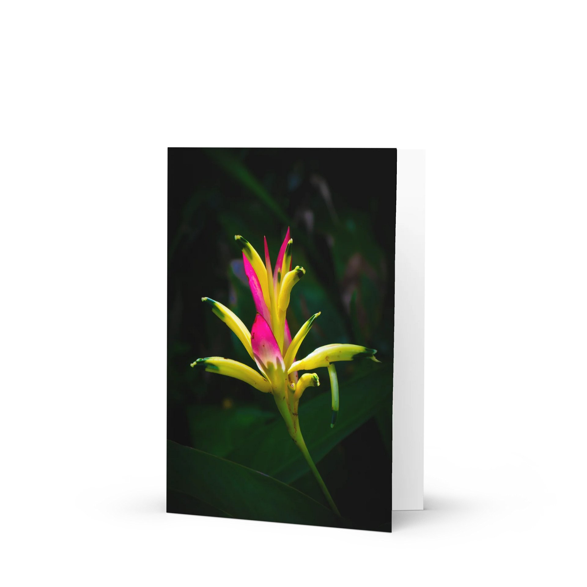 Radiant Bloom Greeting Card product image (1)