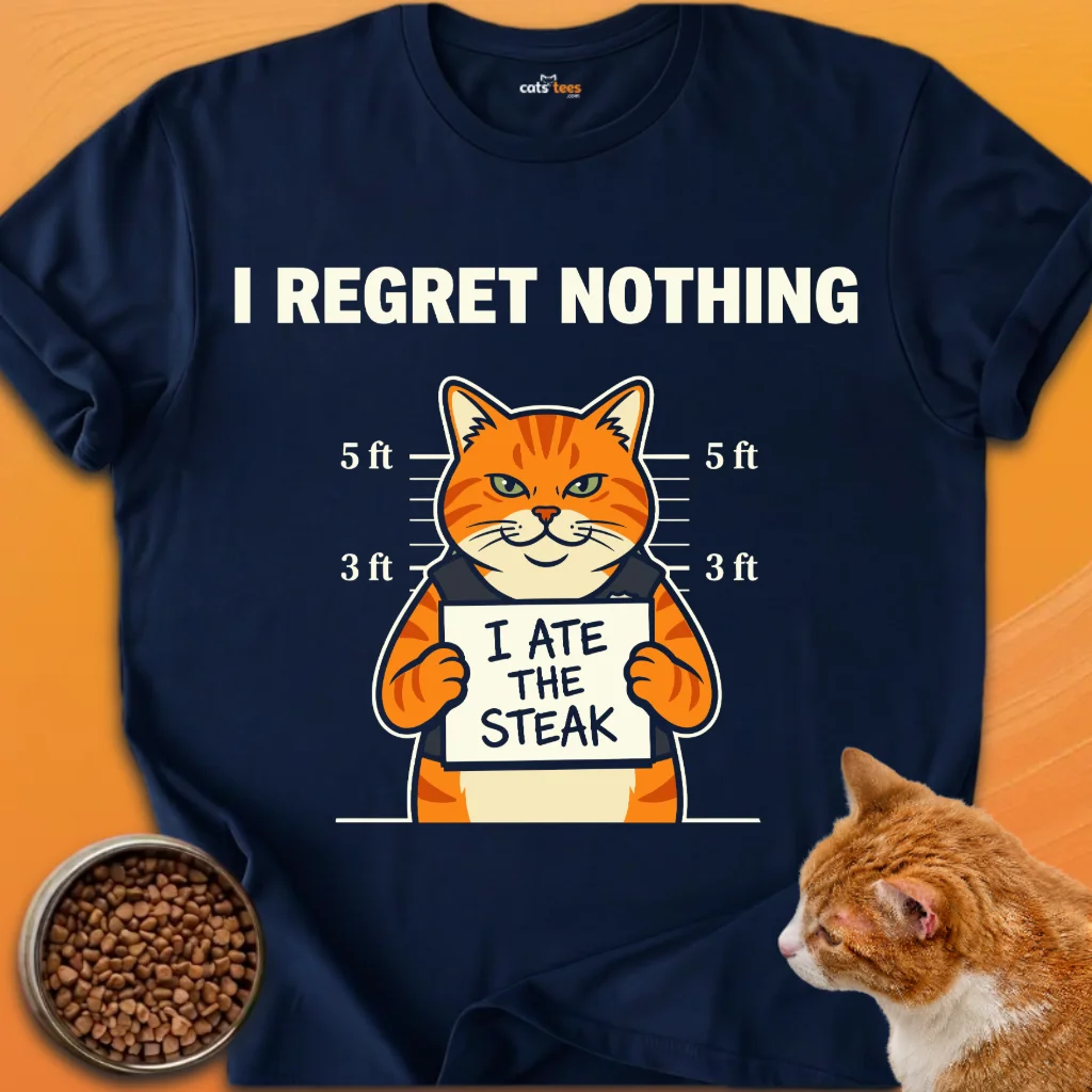 I Regret Nothing product image (7)