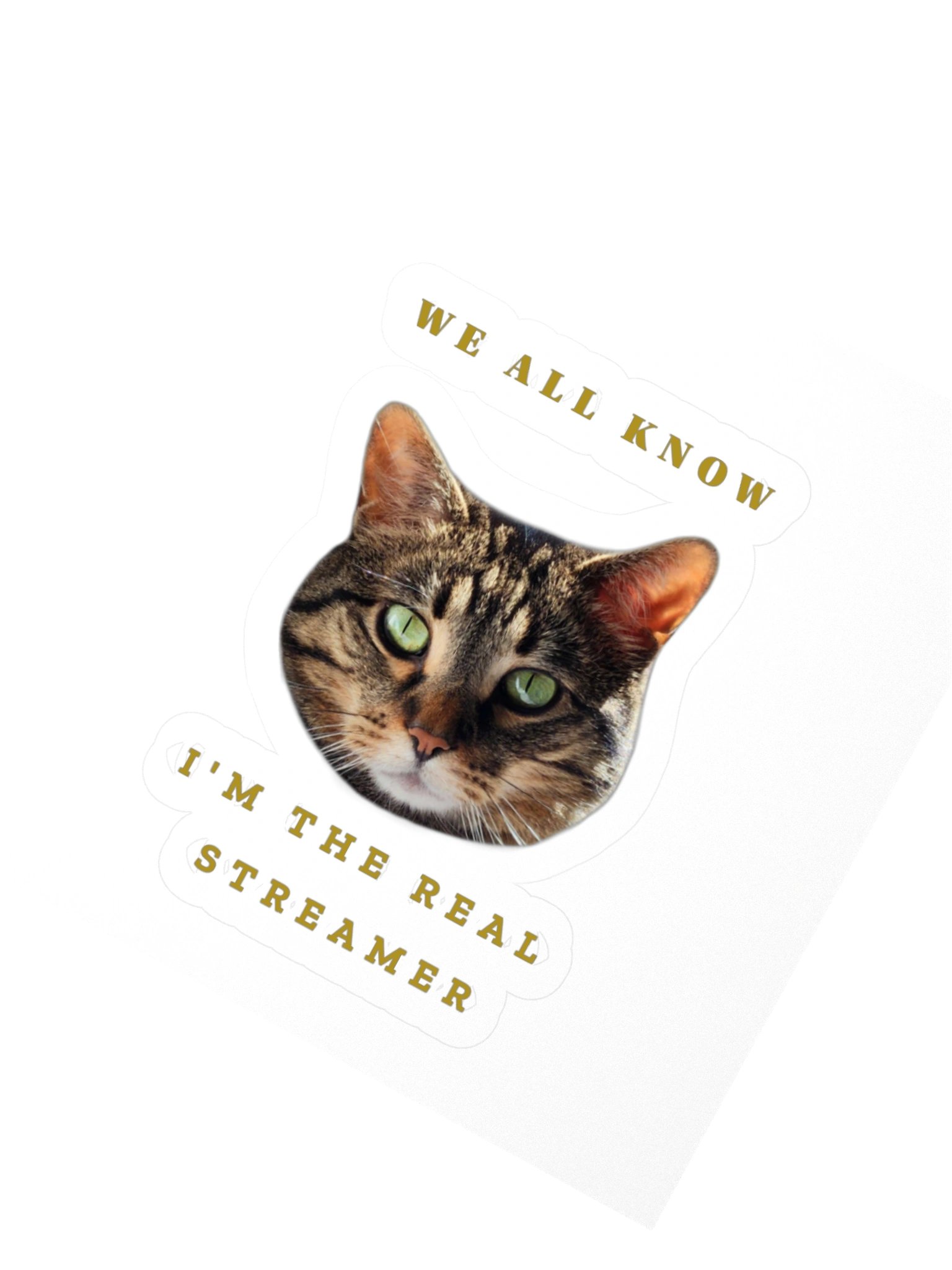 The Real Streamer Sticker product image (2)
