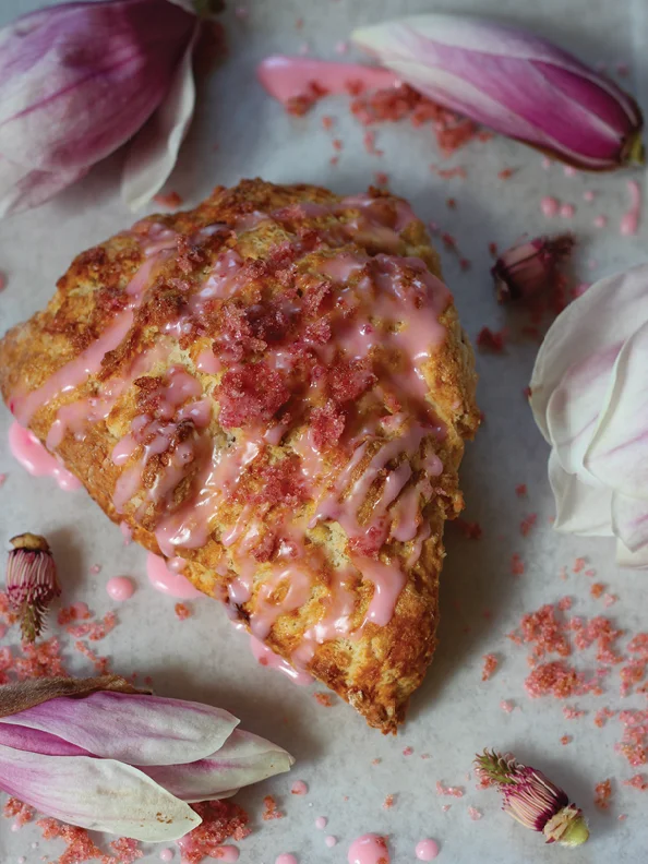 The Biscuit Eater Digital Cookbook: In The Garden product image (6)