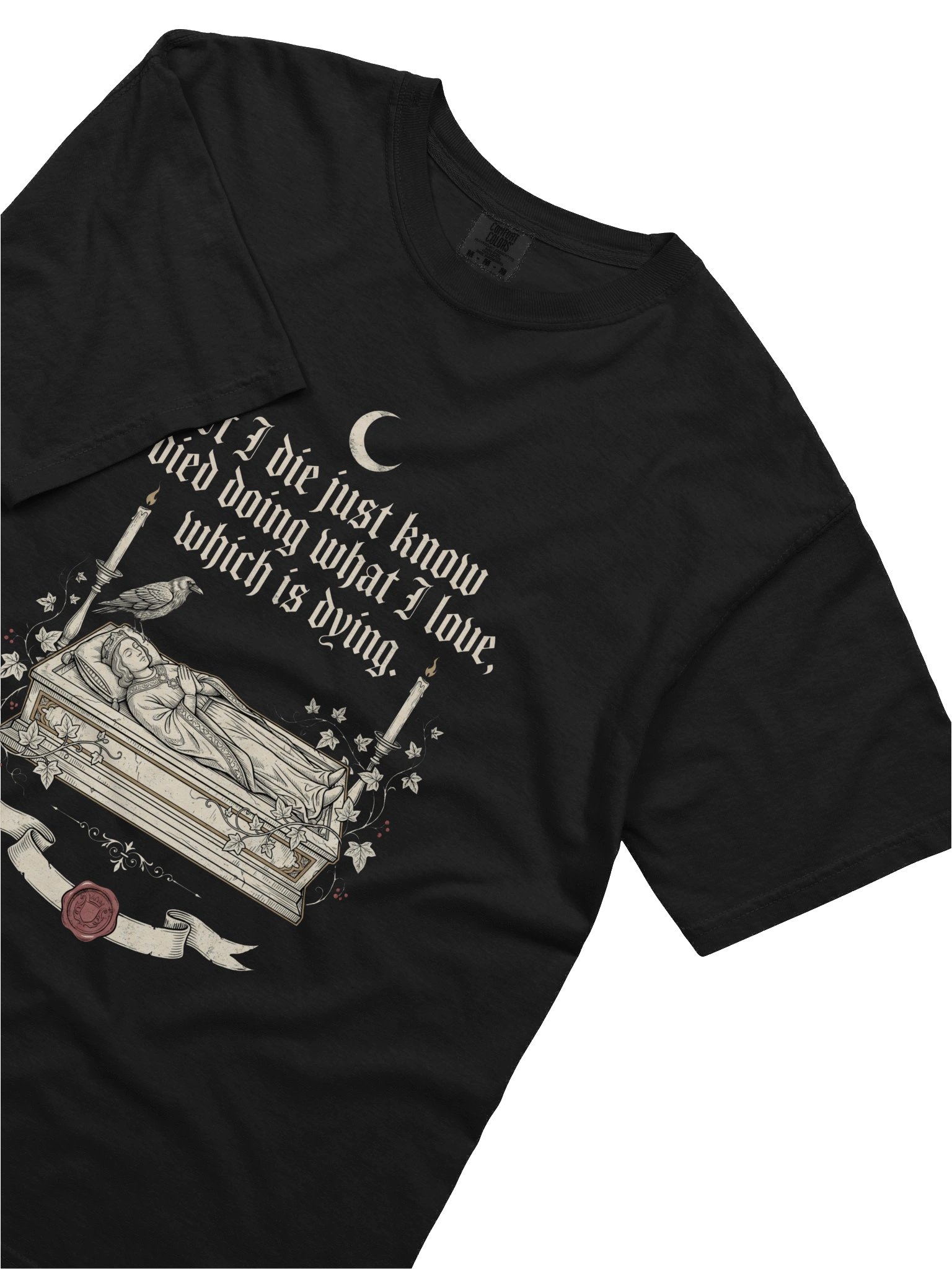 I Died Doing What I Love T-Shirt product image (2)