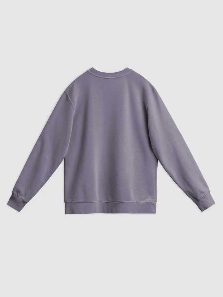 all hail the uterus (sweatshirt) product image (2)