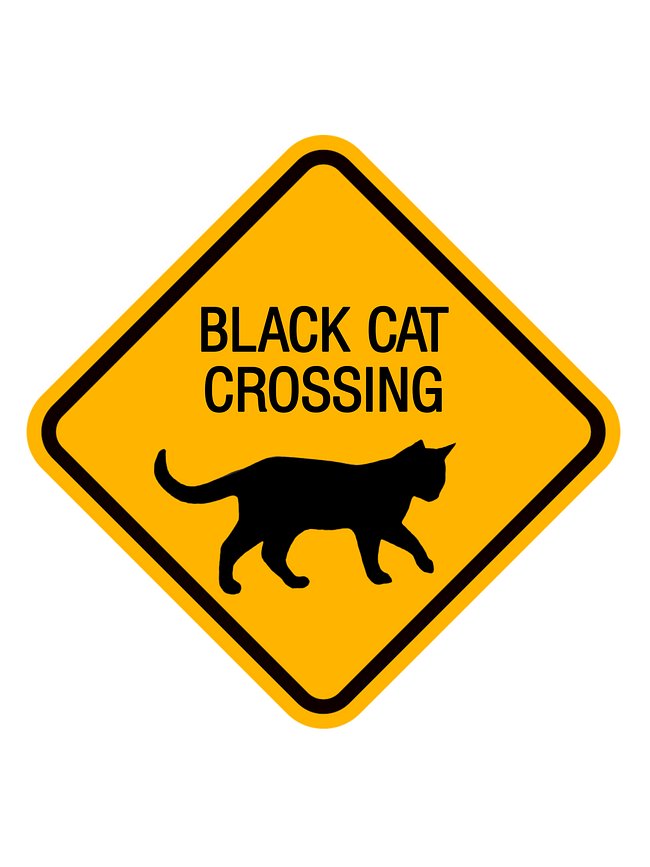 Black Cats