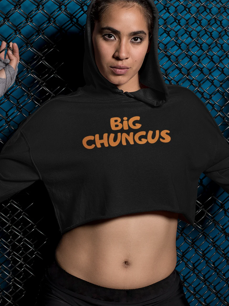 Big Chungus fleece crop hoodie product image (1)