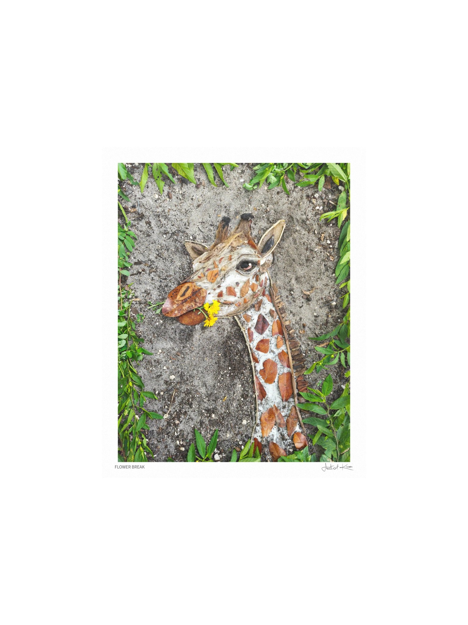 FLOWER BREAK | Nature Art Print product image (2)