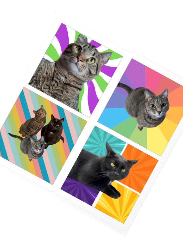 Colorful House Cat Stickers product image (2)