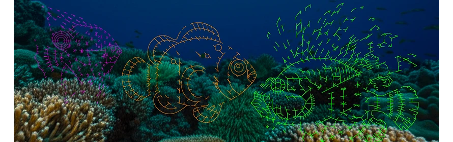 image show puzzle of clownfish, lionfish and angelfish