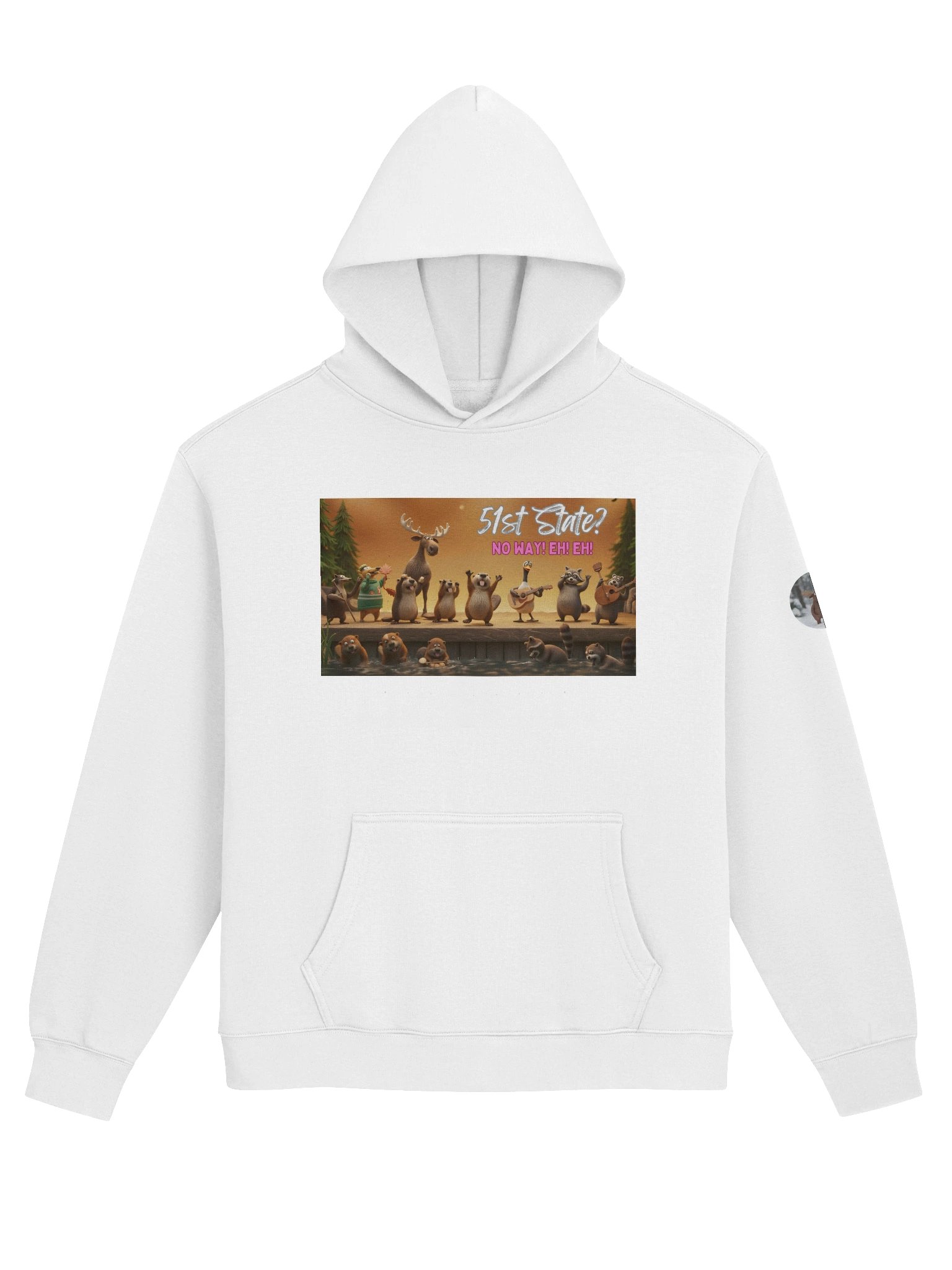 51st State? | Premium Oversized Character Hoodie product image (1)
