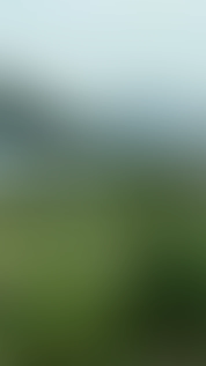 Video thumbnail background