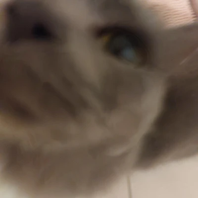Audio thumbnail