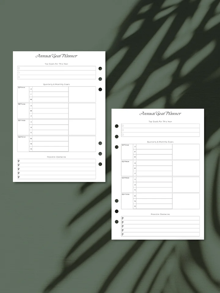 Annual Goal Planner Inserts | Quarterly & Monthly Breakdown | A5 Printable product image (1)