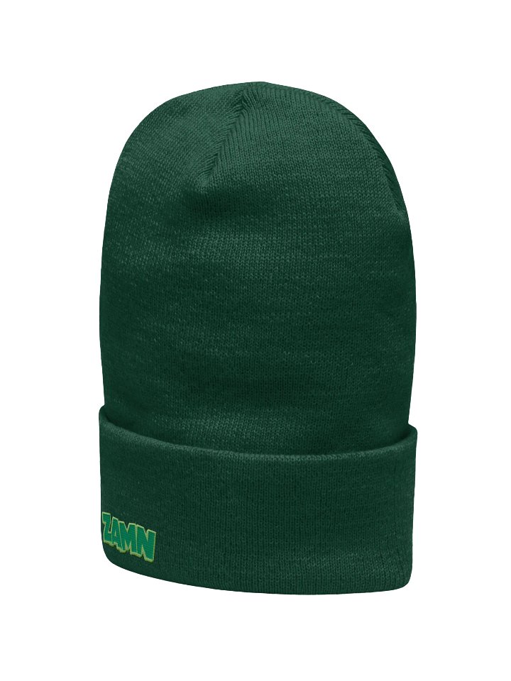 ZAMN Logo Beanie: Green product image (2)