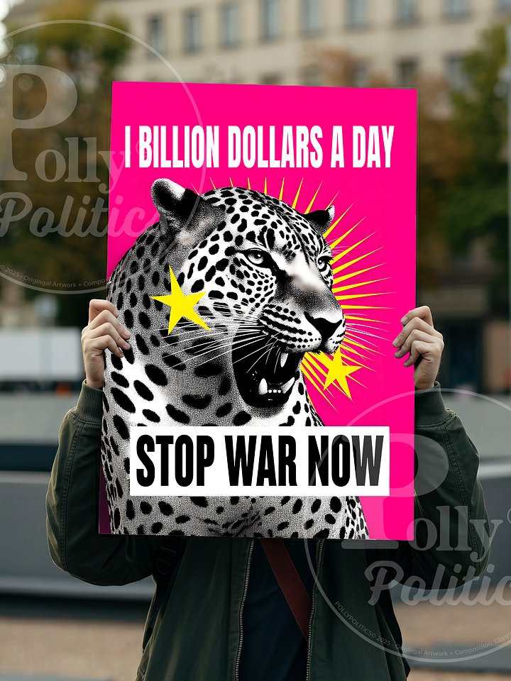 Stop War One Billion Dollars A Day Protest Sign product image (2)