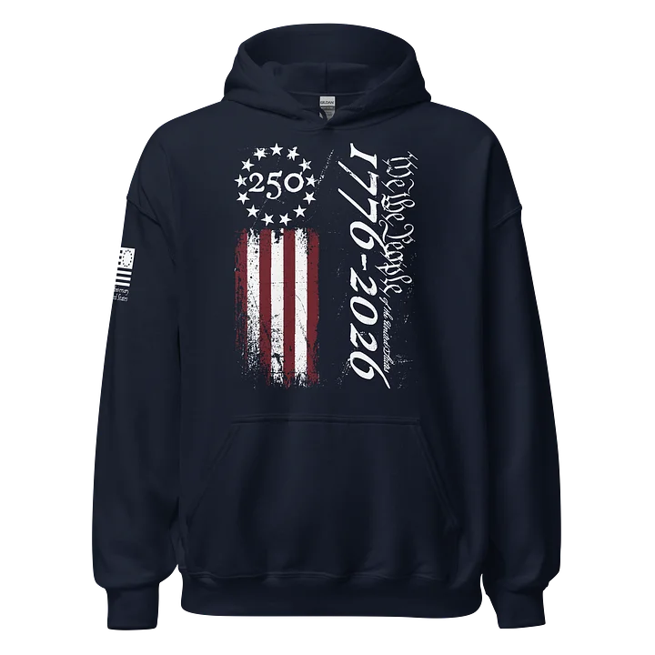250 We The People Loaded Hoodie product image (5)