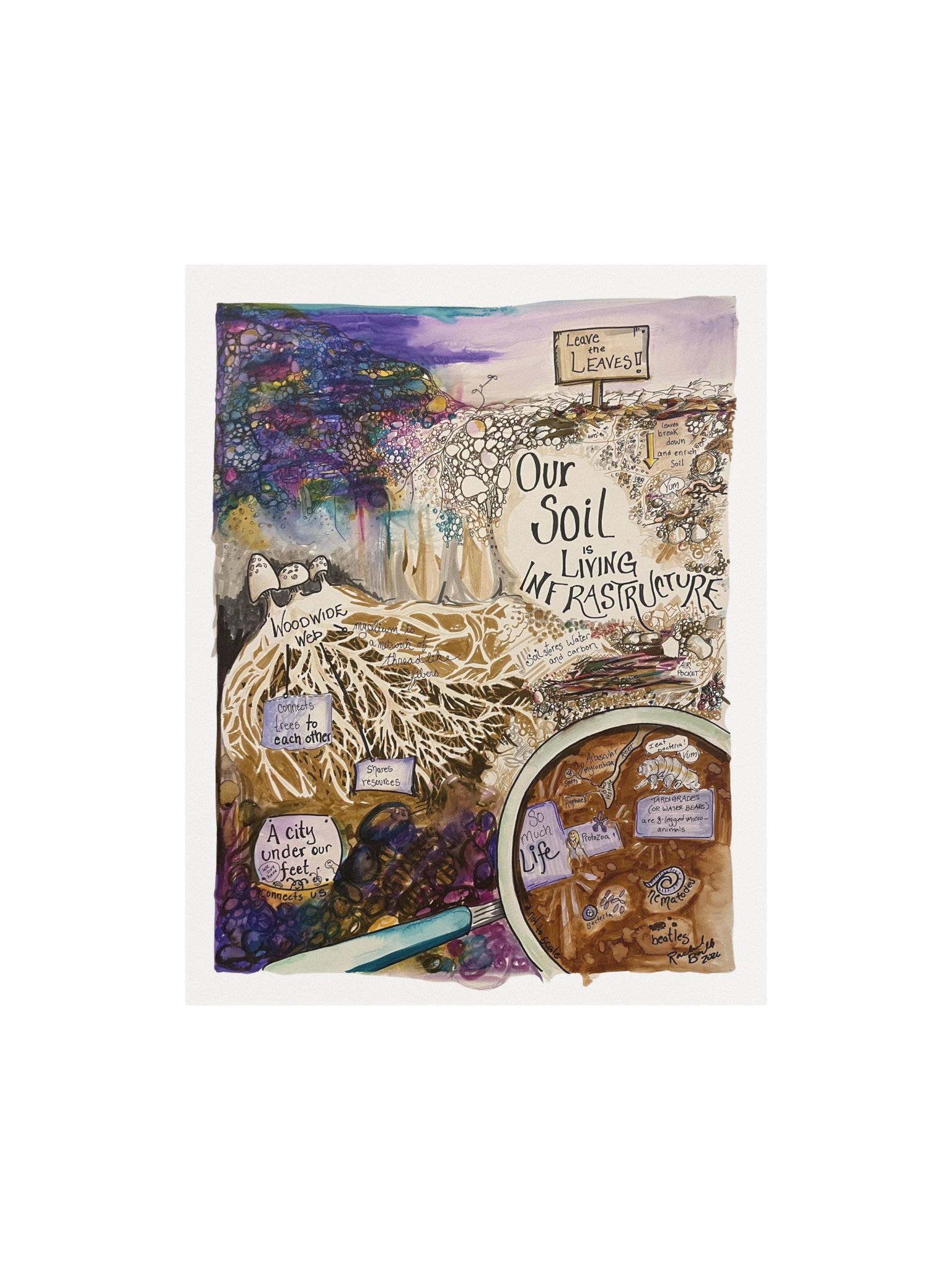 "Soil is Living Infrastructure" (Poster) product image (1)