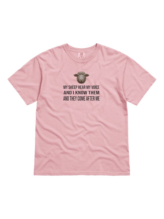 Shirts/Sweatshirts