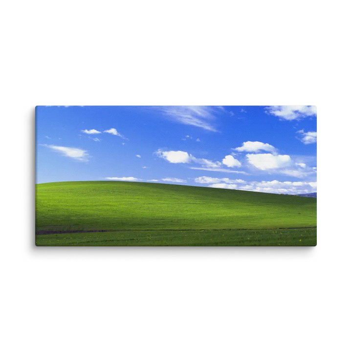bliss canvas product image (1)