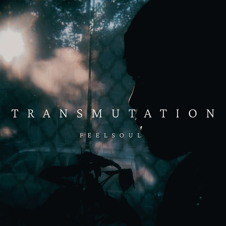 TRANSMUTATION ALBUM product image (1)