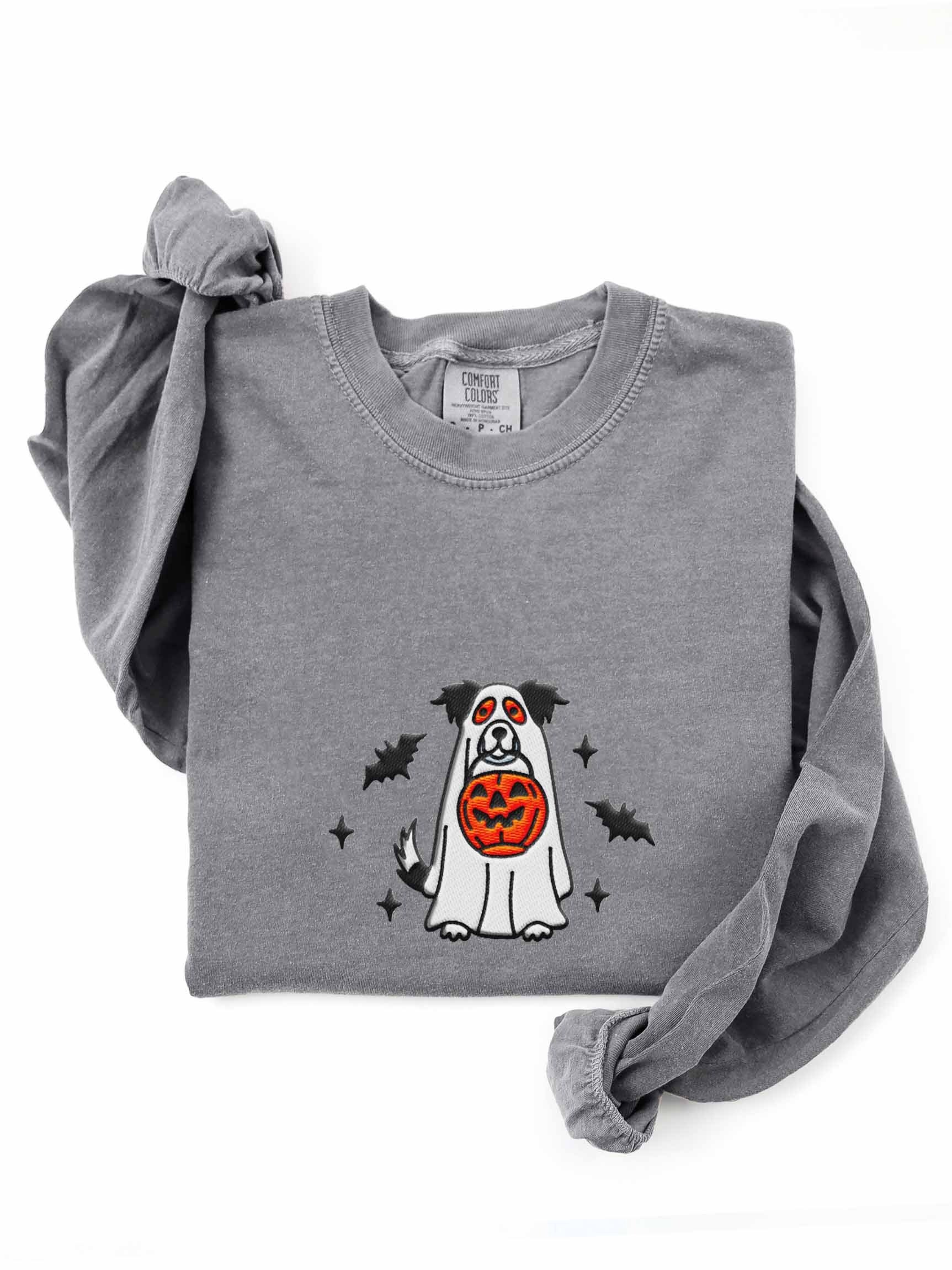 Halloween Border Collie(Tricolor) Embroidered Long-sleeved T-Shirt product image (1)