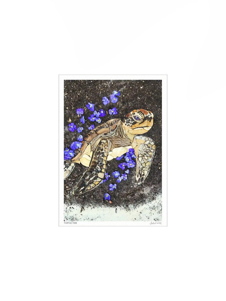TURTLE TIDE | Fine Art Print product image (2)