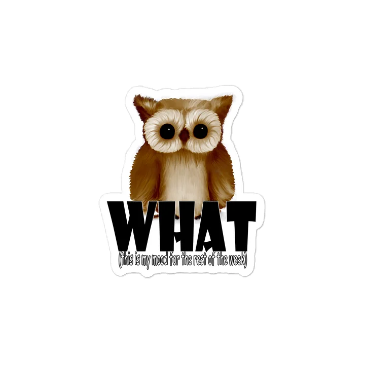 Owl "WHAT" Kiss-Cut Vinyl Decals product image (2)