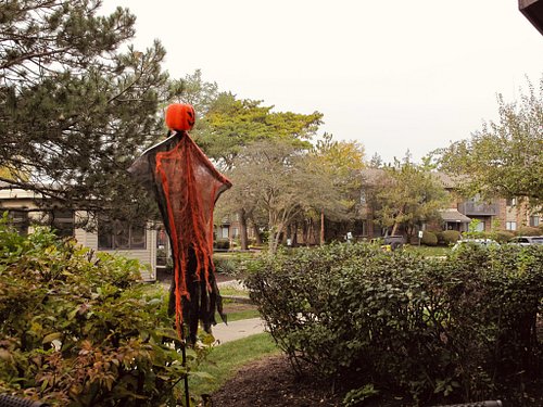 October Vibes.