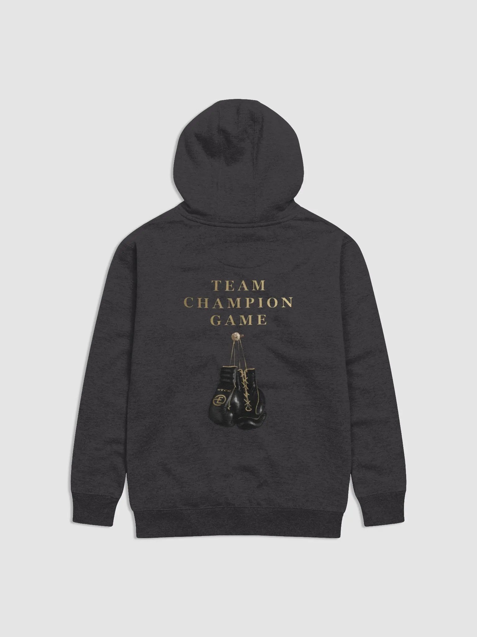Team Champion Game Hoodie product image (1)
