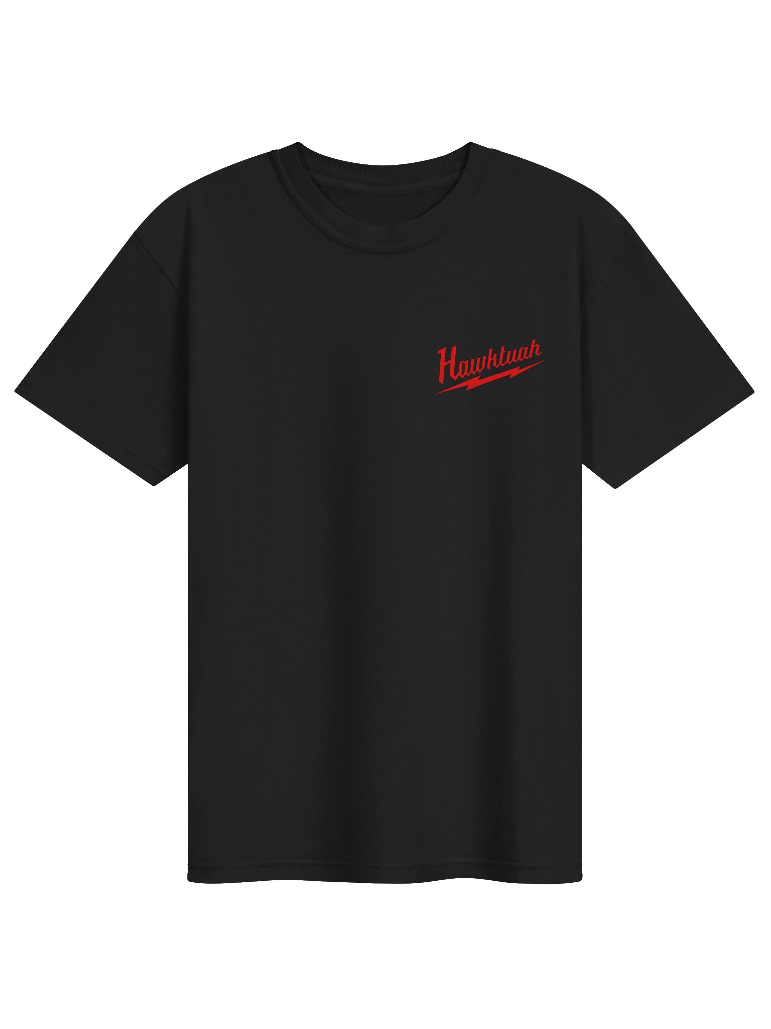 Hawktuah Tee product image (1)