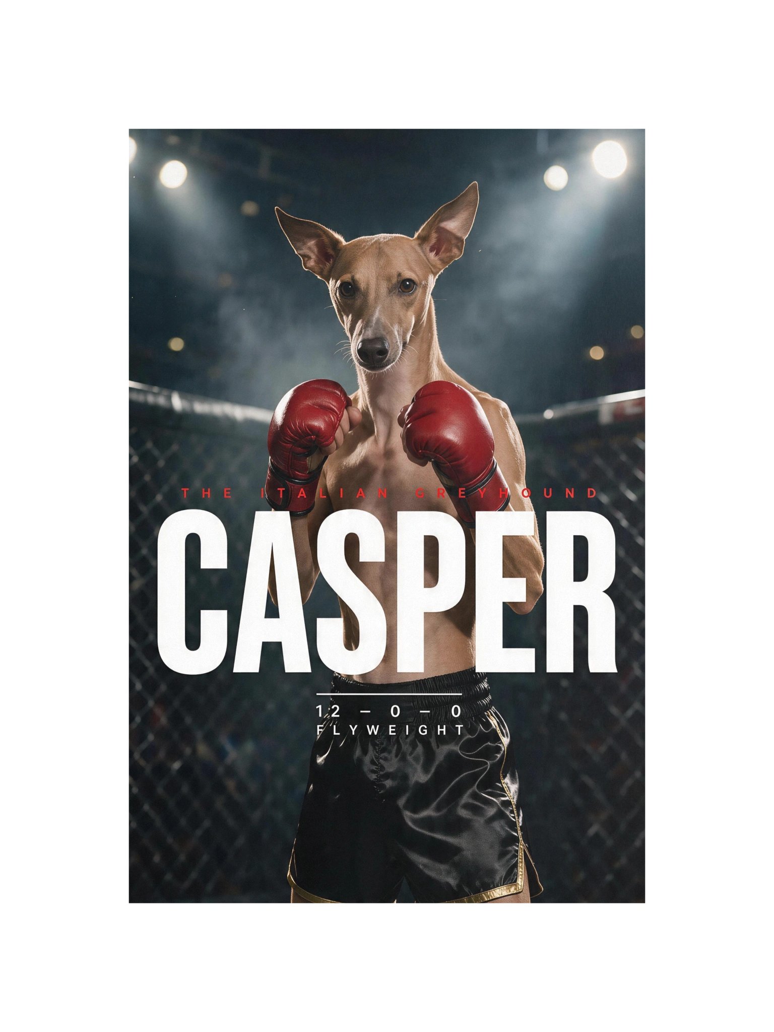 Fight Poster product image (4)