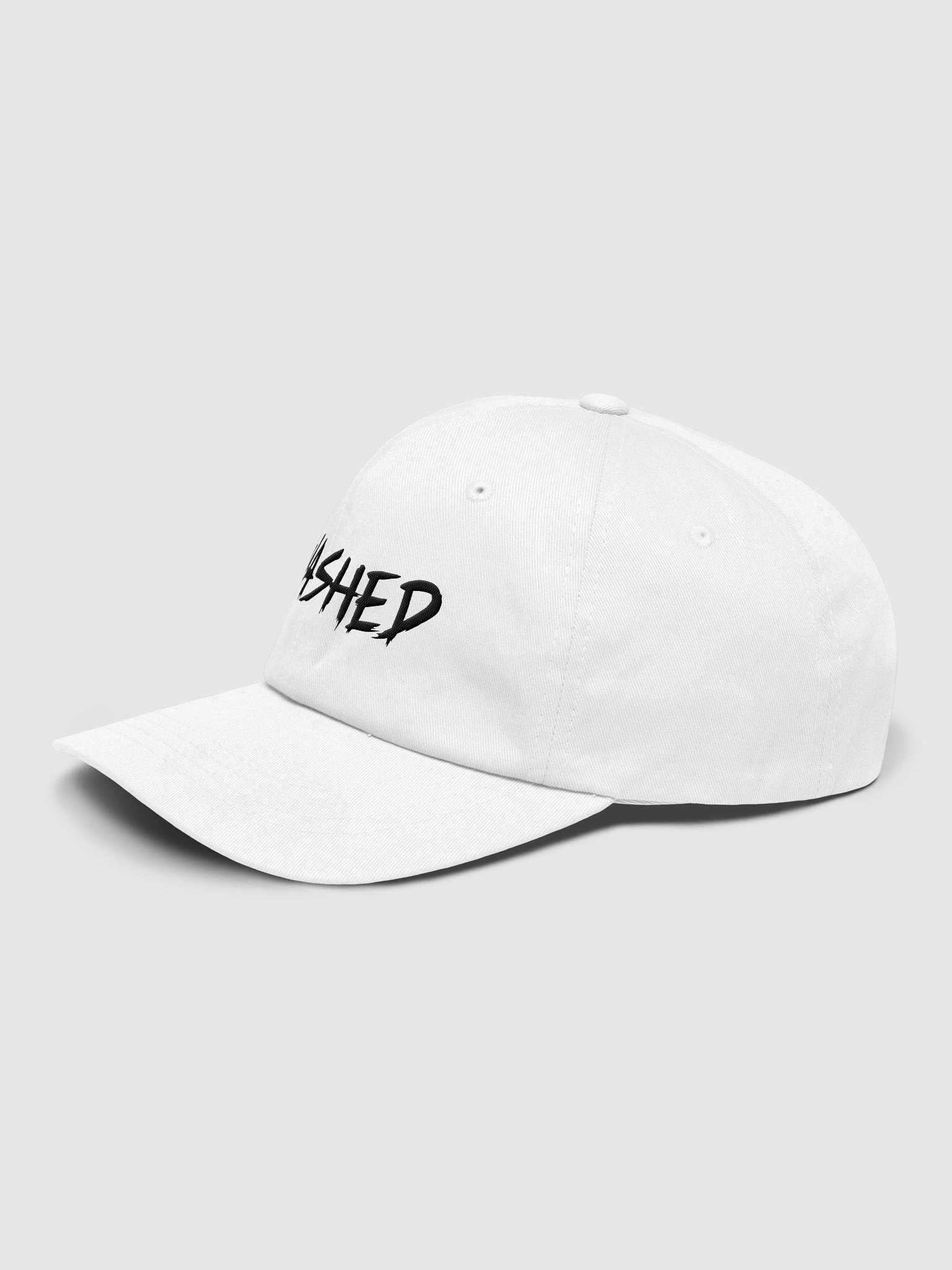Washed Dad Hat product image (3)