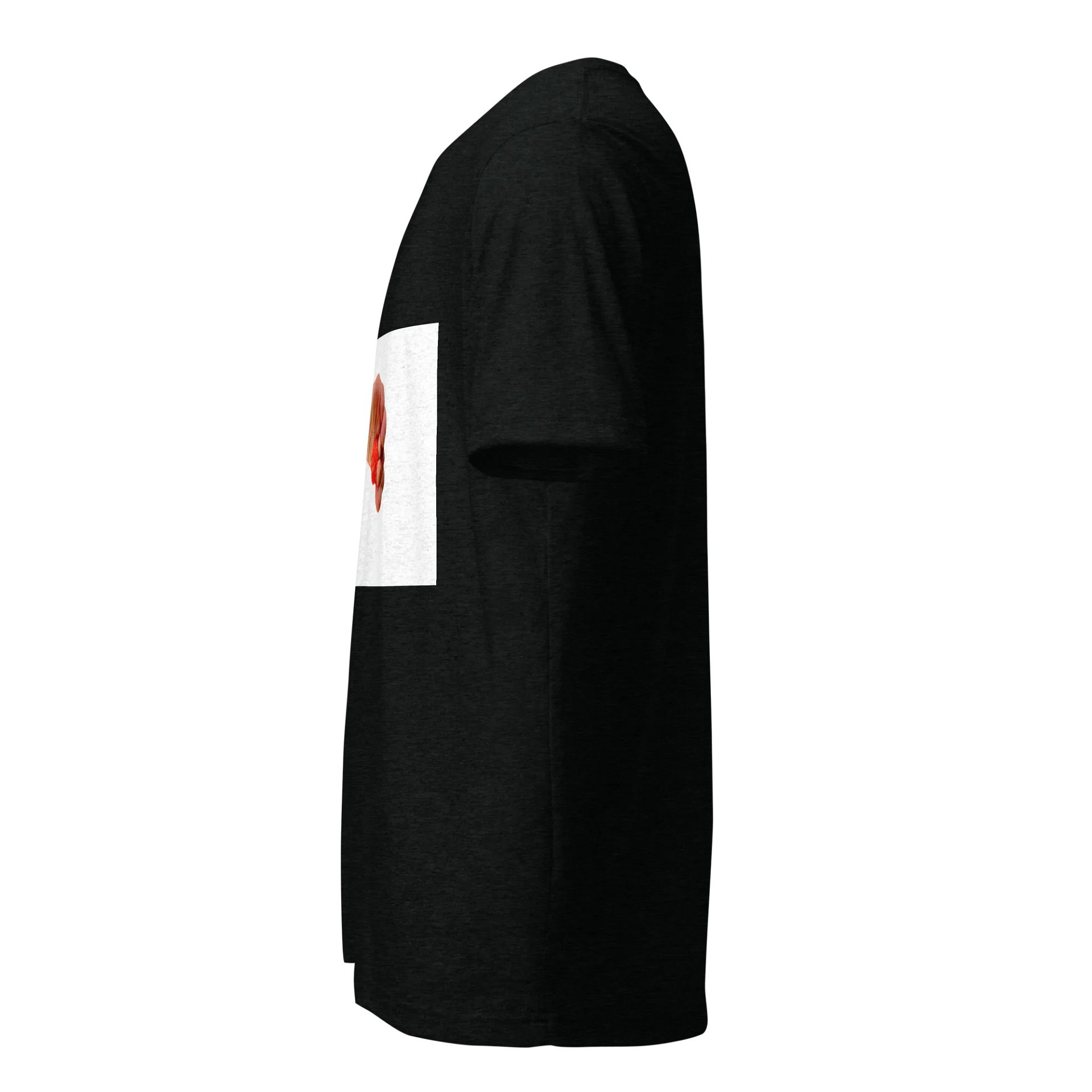 Fashion Trening product image (2)