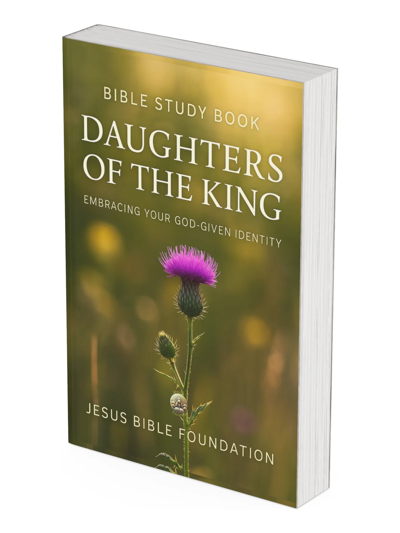 Bible Study Book Daughters of the King: Embracing Your God-Given Identity product image (1)