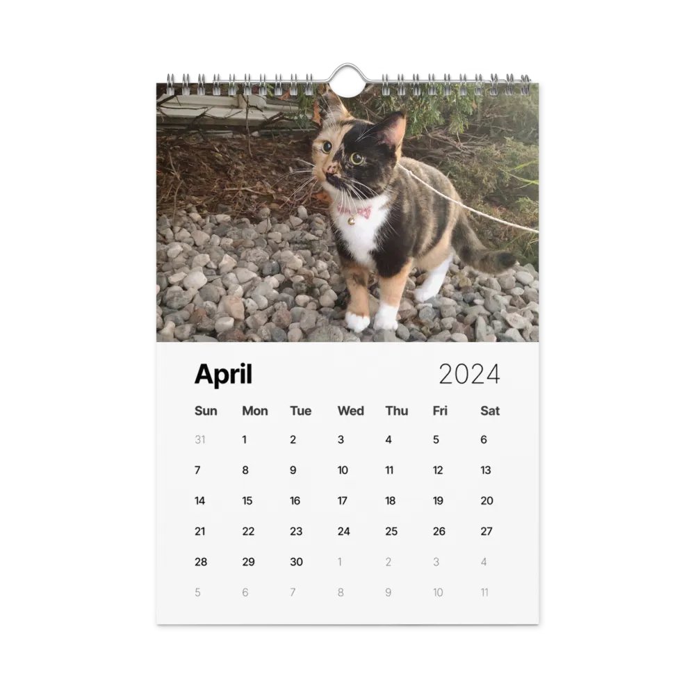 2024 Lyra Calendar product image (1)