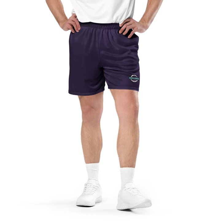 Logo Mesh Shorts product image (1)