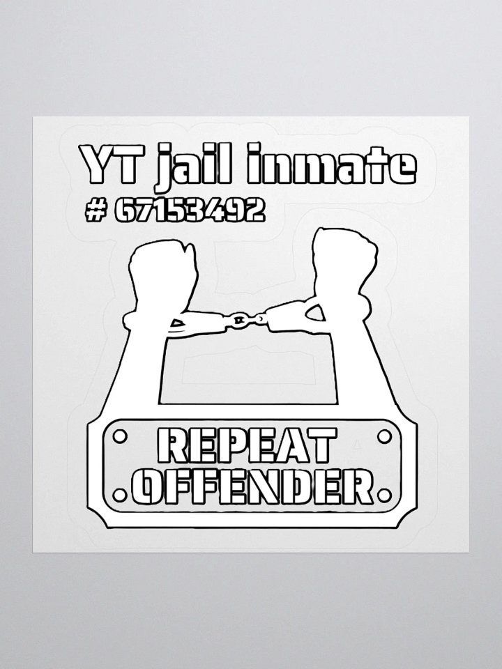 YT JAIL INMATE REPEAT OFFENDER product image (2)